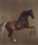 George Stubbs Whistlejacket oil painting picture wholesale